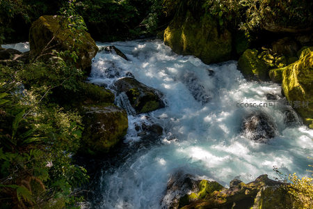 阳光穿透林间洒落溪谷，青苔石缝中激流奔涌如银龙穿梭