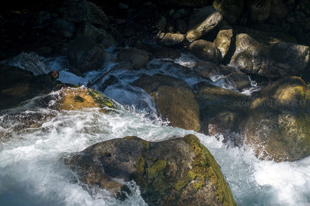 阳光穿透林隙洒落溪谷，激流绕石奔涌，苔藓斑驳映衬清冽水流