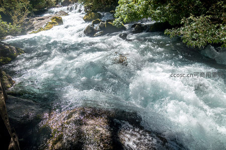 林荫掩映下碧潭激流奔涌，白浪翻卷穿石而过，绿意盎然生机勃勃