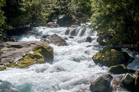 青苔覆石的山涧激流穿林而过，光影斑驳生机盎然