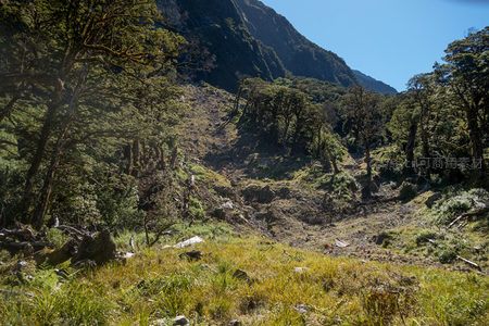 山间林地滑坡痕迹与茂密植被共存的自然景观