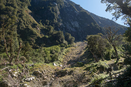 山体崩塌区植被缓慢恢复，残枝断木点缀新生绿地