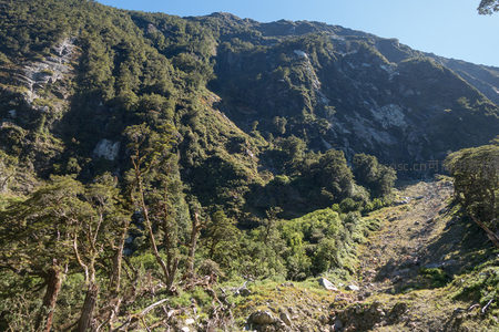 开阔山谷中林木疏密有致，岩坡裸露显地质肌理