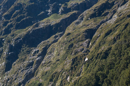 陡峭山崖层叠交错，光影斑驳，植被顽强生长于岩缝