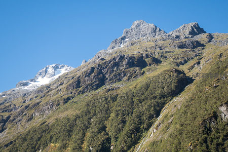 近景山脊草甸与灌木丛生，背景雪峰傲立晴空