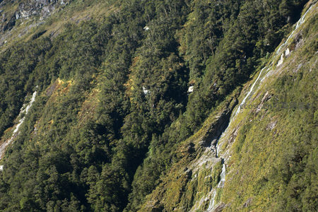 山涧瀑布群穿行林海，阳光穿透树冠洒落岩壁，层次丰富壮观