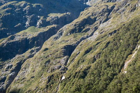 高山草甸与针叶林交错的崎岖山脊航拍图