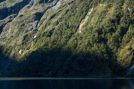 森林密布山坡倾泻而下，湖岸线隐现于绿荫之间