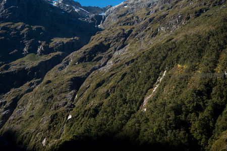 深谷斜坡林木葱郁，光影交错勾勒山体肌理