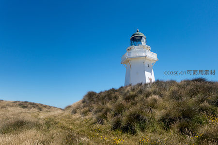 蓝天映衬下白色灯塔矗立草丘，海风拂动野草如波