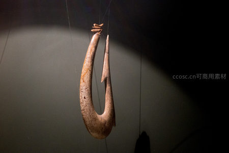 悬挂式毛利骨制鱼钩特写，弧形结构与尖锐倒刺工艺精湛