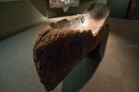 独木舟Waka原木剖面展示，粗犷树皮纹理与手工凿痕见证古老造船术