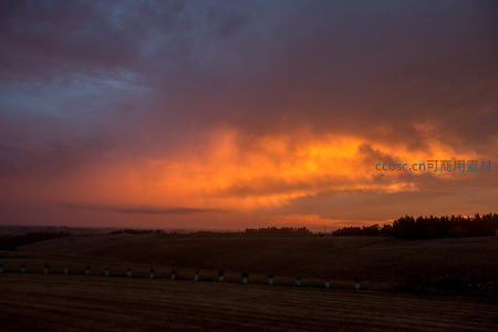 暮色中金焰云海翻涌，田垄间白桩成行如诗如画
