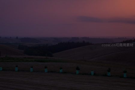 暮霭沉沉覆丘陵，新植幼苗静守沃土待晨光
