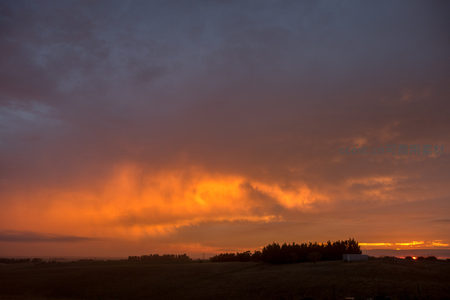 壮丽晚霞染红天际，田野剪影静谧如画