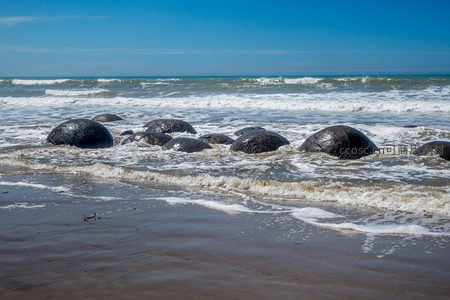 潮汐中的摩拉基巨石：海浪与远古圆石的对话