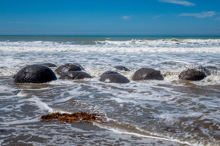 摩拉基巨石滩：太平洋岸边的远古圆球矩阵