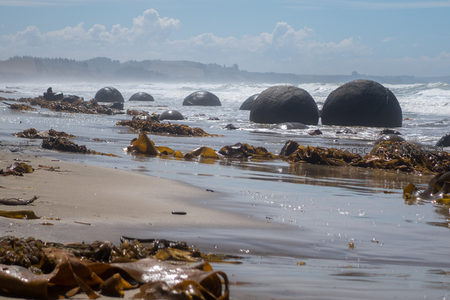 潮间带巨石与海藻交织，光影交错映照湿润沙滩与远山剪影
