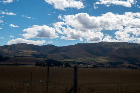 新西兰丘陵牧场风光，铁丝网前金黄草场延伸至连绵山峦
