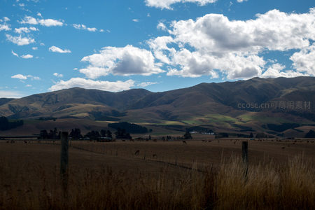 牧群散落于新西兰山麓草场，云影流动间尽显田园牧歌意境