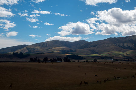 辽阔草原上群鹿悠然觅食，远山层叠映衬蓝天白云