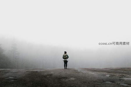雾中孤影伫立岩台，朦胧森林勾勒寂寥旅人剪影