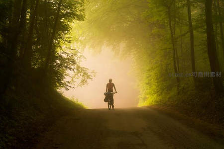 晨雾森林中骑行者剪影穿行林间小径