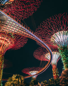新加坡滨海湾花园夜景：超级树丛与空中走道灯光秀