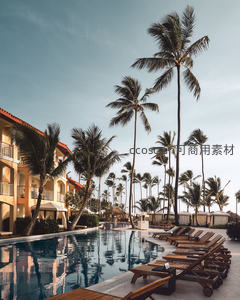 热带度假村泳池畔棕榈成林，躺椅静候海风拂面