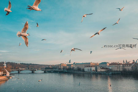 黄昏河畔群鸥翱翔，古城建筑倒映水中，宁静而诗意