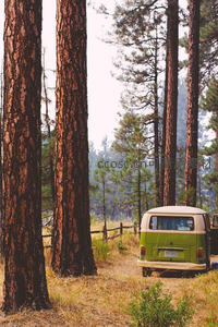 松林深处绿色复古露营车静谧休憩场景