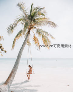 椰林秋千上的女子静坐白沙滩，海天一色如梦似幻