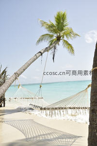 热带海滩椰树吊床，碧海白沙与海浪轻抚岸边
