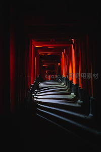 千本鸟居隧道光影交错，朱红廊柱延伸至幽深尽头