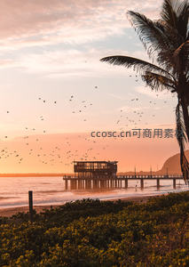 热带海滩日落时分码头飞鸟掠影