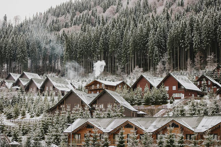 雪覆木屋群隐于松林间，炊烟袅袅冬日静谧村落
