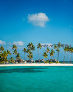 马尔代夫热带海岛风光，椰林掩映水上别墅与碧海蓝天