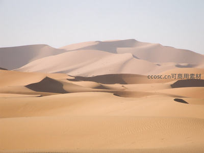 撒哈拉沙漠连绵沙丘起伏如波，光影交错勾勒柔美曲线