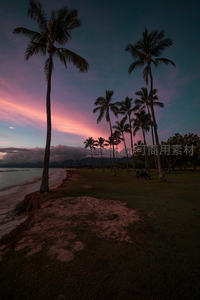 椰林剪影映绚烂晚霞，热带海岸线静谧悠远如梦境