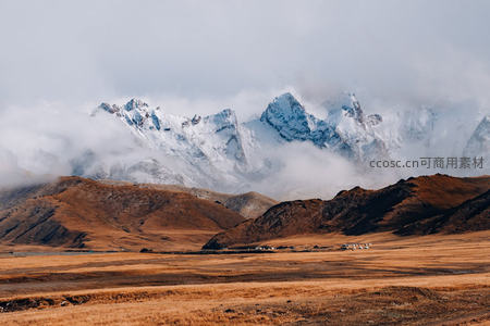 雪峰隐现云海间，高原秋草染金黄的壮阔山景