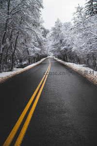 雪覆林间双黄线公路，蜿蜒伸向冬日深处