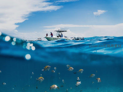 半潜式视角捕捉海面与水下世界：渔船作业与热带鱼群共舞