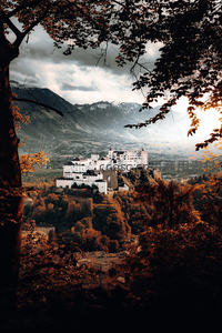 秋日山间城堡掩映林海，远山积雪与云层交织，画面如古典油画