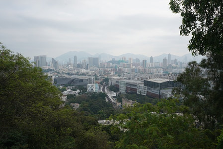 从太平山俯瞰港岛城区，绿树掩映现代建筑与远山