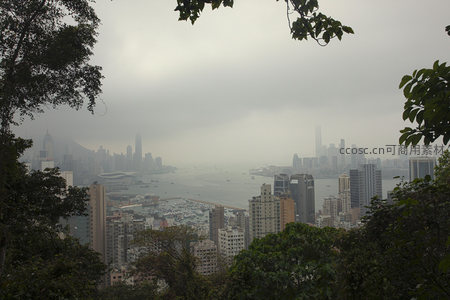 绿树掩映间眺望维港雾景，香港天际线若隐若现如水墨画卷
