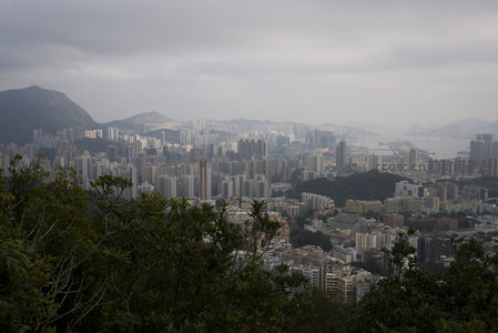 雾锁香江：山脊线下的香港都市全景