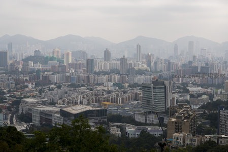 阴天下的港岛全景，密集住宅区与山体绿植交织
