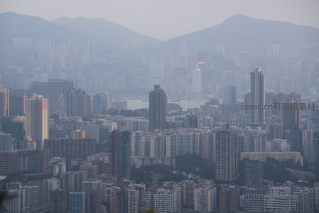 晨雾轻笼维多利亚港，密集住宅与商业楼宇构成灰调都市交响曲