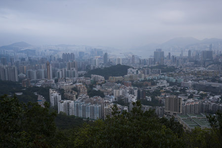 雾锁港城：从山巅看密集楼宇与海湾的静谧时刻