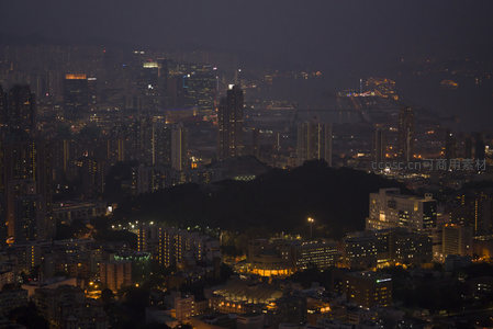 太平山俯瞰夜港全景，山丘绿意与城市光海形成鲜明对比